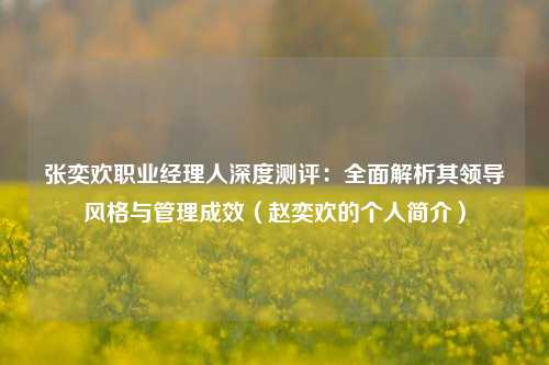 张奕欢职业经理人深度测评：全面解析其领导风格与管理成效（赵奕欢的个人简介）