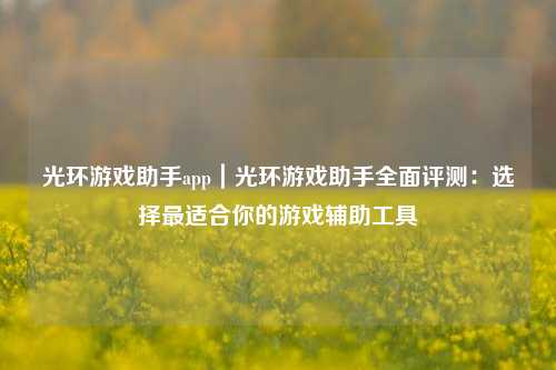 光环游戏助手app|光环游戏助手全面评测:选择最适合你的游戏辅助工具